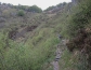 dscn2253