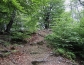 dscn2310