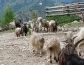 img_9758_800x600