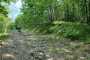 MTB_Monte_Ragola-11