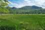 MTB_Monte_Ragola-14