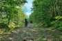 MTB_Monte_Ragola-9
