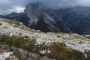 DSCN2362