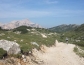 20150705_080935
