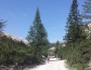 20150705_100137