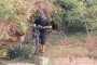 IMG-20230919-WA0021