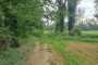IMG-20230919-WA0070