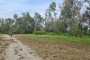 IMG-20230919-WA0081