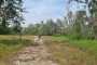 IMG-20230919-WA0082