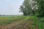 IMG-20230919-WA0095