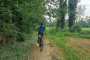 KFlI5HOxmB34AvwKOxTdC77f1qHFnYWz_5RCUS9QvG8_plaintext_638307492143487832