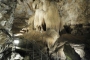 DSCN0528