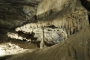 DSCN0529