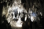 DSCN0538
