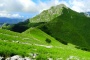 DSCN0708