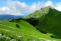 DSCN0711