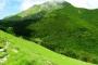 DSCN0719