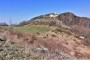 IMG_20220320_143230