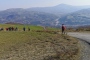 IMG_20220320_145059