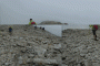 P1220139-Copy