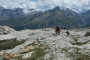 P1220158-Copy