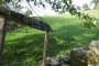 DSCN0993
