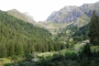 DSCN0996