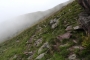 DSCN1084