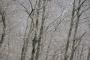 DSCN9866