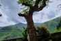 Garfagnana_MTB_2024-181