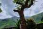 Garfagnana_MTB_2024-192