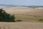 IMG-20220709-WA0000
