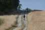 IMG-20220709-WA0001