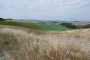 IMG-20220709-WA0003