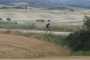 IMG-20220709-WA0004