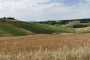 IMG-20220709-WA0005