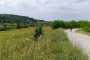 IMG-20220709-WA0012