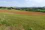IMG-20220709-WA0015