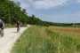 IMG-20220709-WA0018