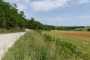 IMG-20220709-WA0022