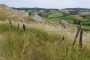 IMG-20220709-WA0028