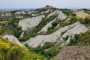 IMG-20220709-WA0029