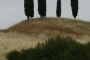 IMG-20220709-WA0035