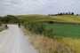 IMG-20220709-WA0041
