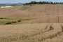 IMG-20220709-WA0042