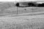 IMG-20220709-WA0043