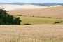 IMG-20220709-WA0044