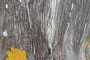 IMG-20220709-WA0048
