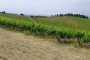 IMG-20220709-WA0061
