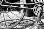IMG-20220709-WA0066